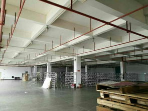 深圳龍崗優質廠房、倉庫及土地租賃，分租面積500至2000平方米